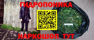 крисы Кунгур