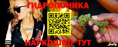 крисы Кунгур