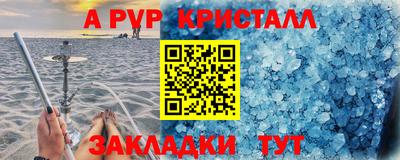 крисы Кунгур