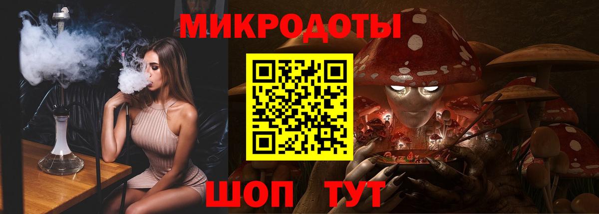 Галлюциногенные грибы Psilocybe  Вход с VPN  Камень-на-Оби 